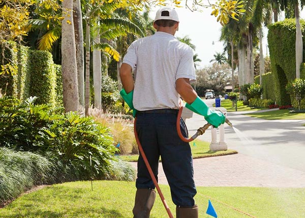 About Van Tassell WY Pest Control